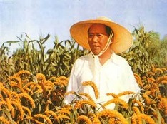 纪念毛主席诞辰124周年！永远缅怀伟大领袖毛泽东！