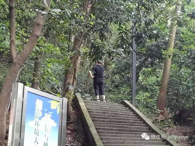 各就各位场景开始