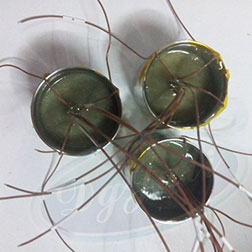 耐高温AB胶灌封测试 耐高温AB胶灌封测试