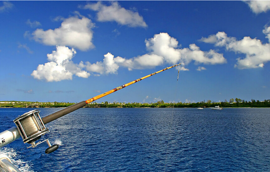 鱼竿环氧粘接胶用胶案例,聚力用心服务每一位客户 鱼竿环氧粘接胶用胶案例,聚力用心服务每一位客户