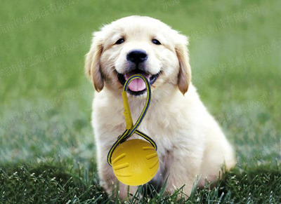 聚力瞬间胶解决tpr热塑性橡胶难粘问题 聚力瞬间胶解决tpr热塑性橡胶难粘问题