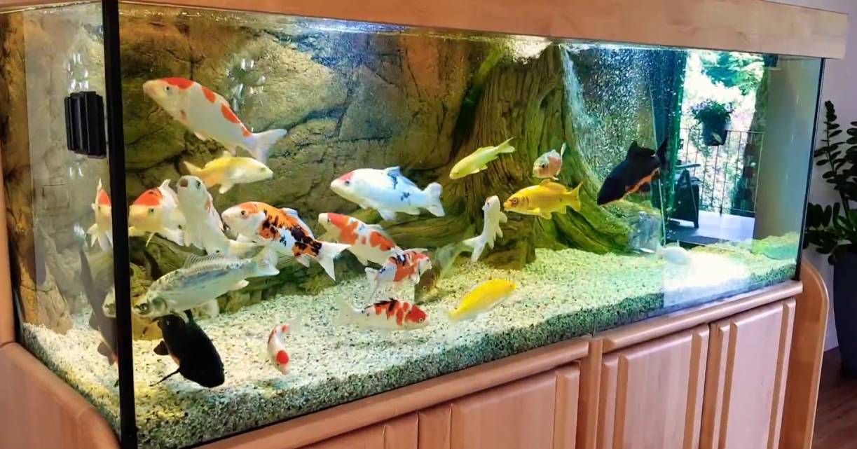 鱼缸UV无影胶水,聚力专业定制解决方案 鱼缸UV无影胶水,聚力专业定制解决方案